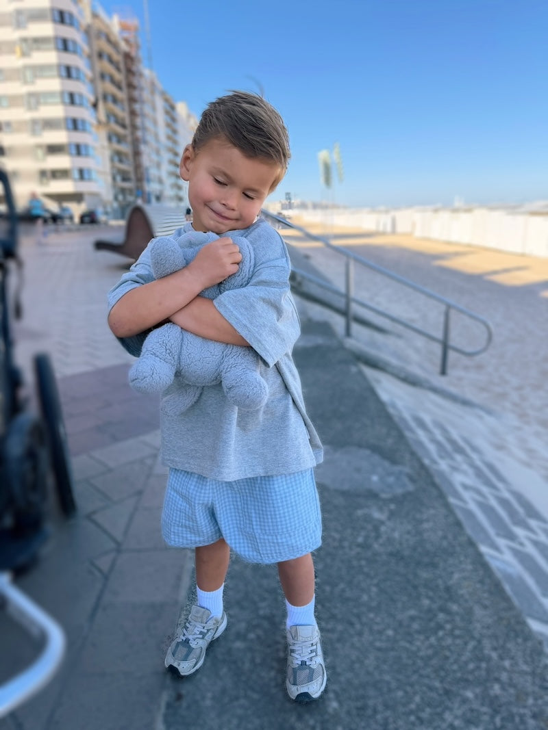 Sky Check Shorts