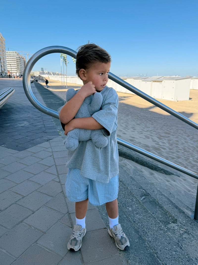 Sky Check Shorts