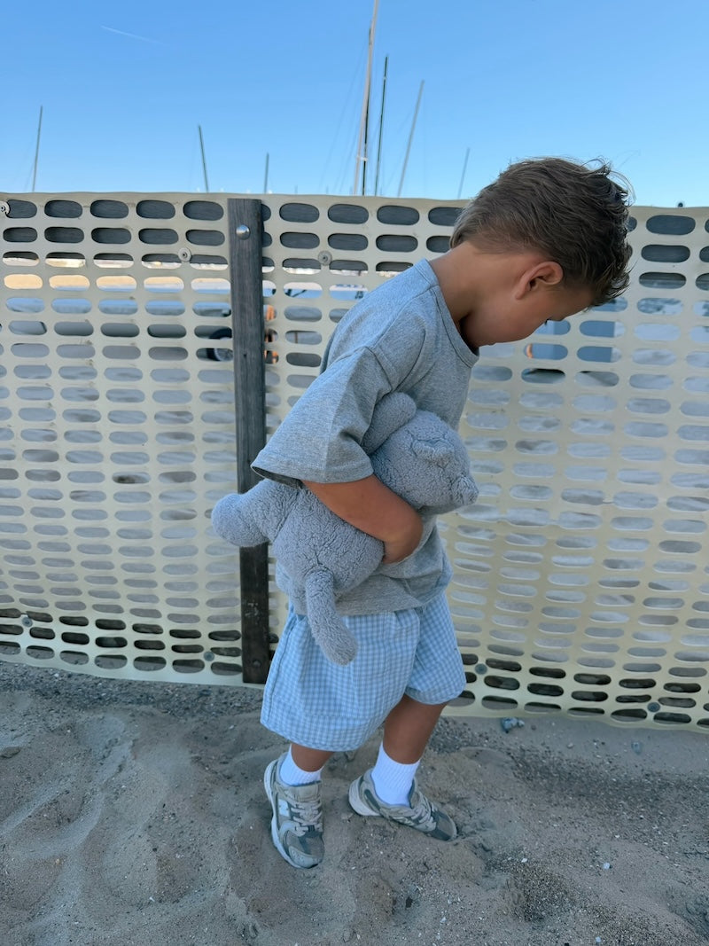 Sky Check Shorts
