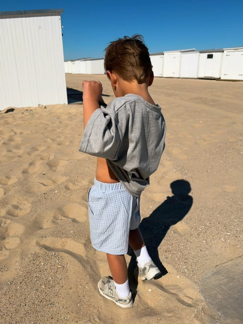 Sky Check Shorts