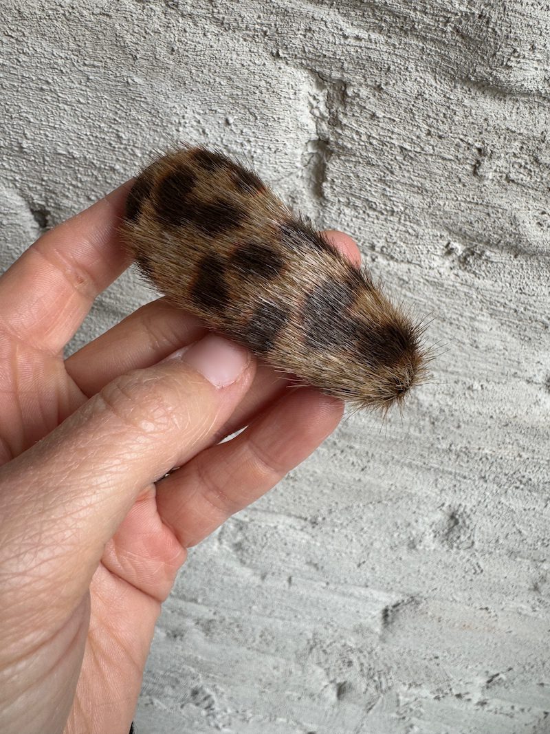 Leo Hairclip