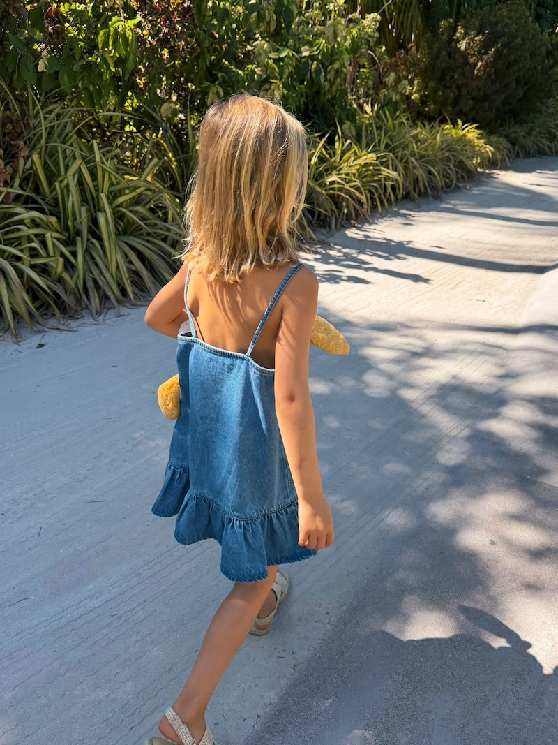 Lucie Denim Dress