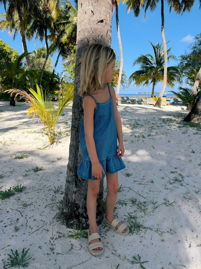 Lucie Denim Dress