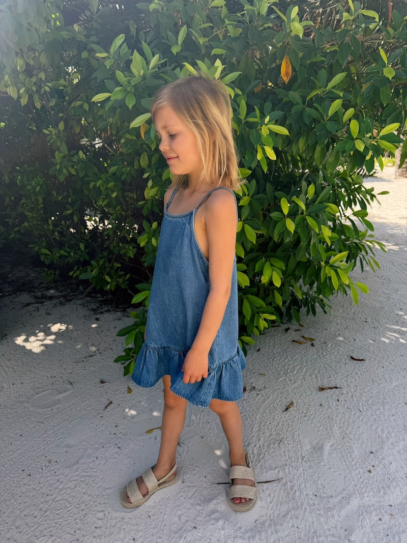 Lucie Denim Dress