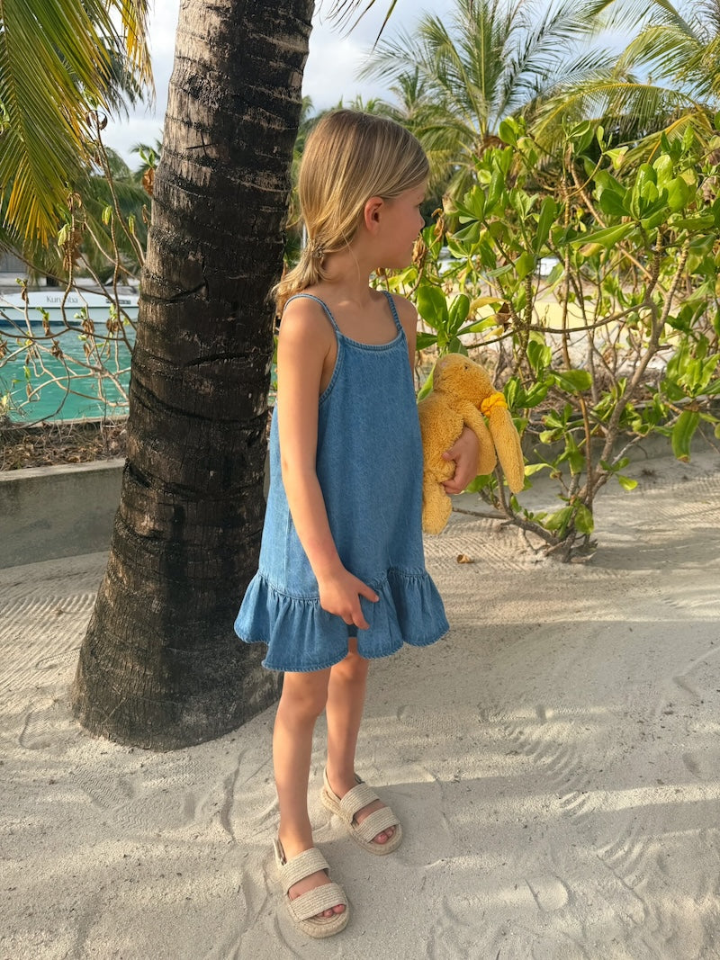 Lucie Denim Dress