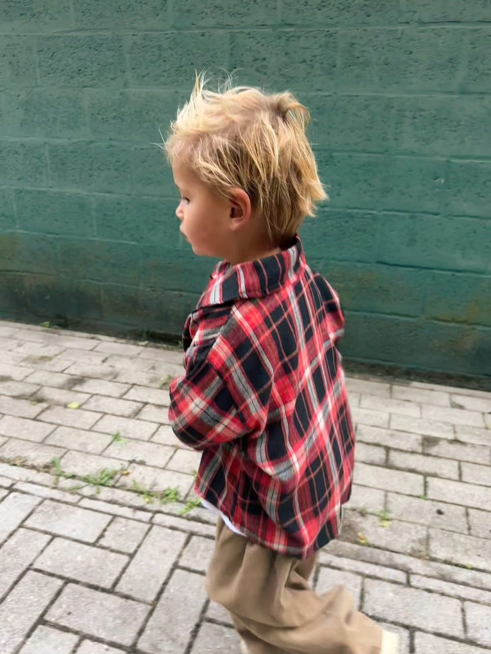 Red Check Shirt
