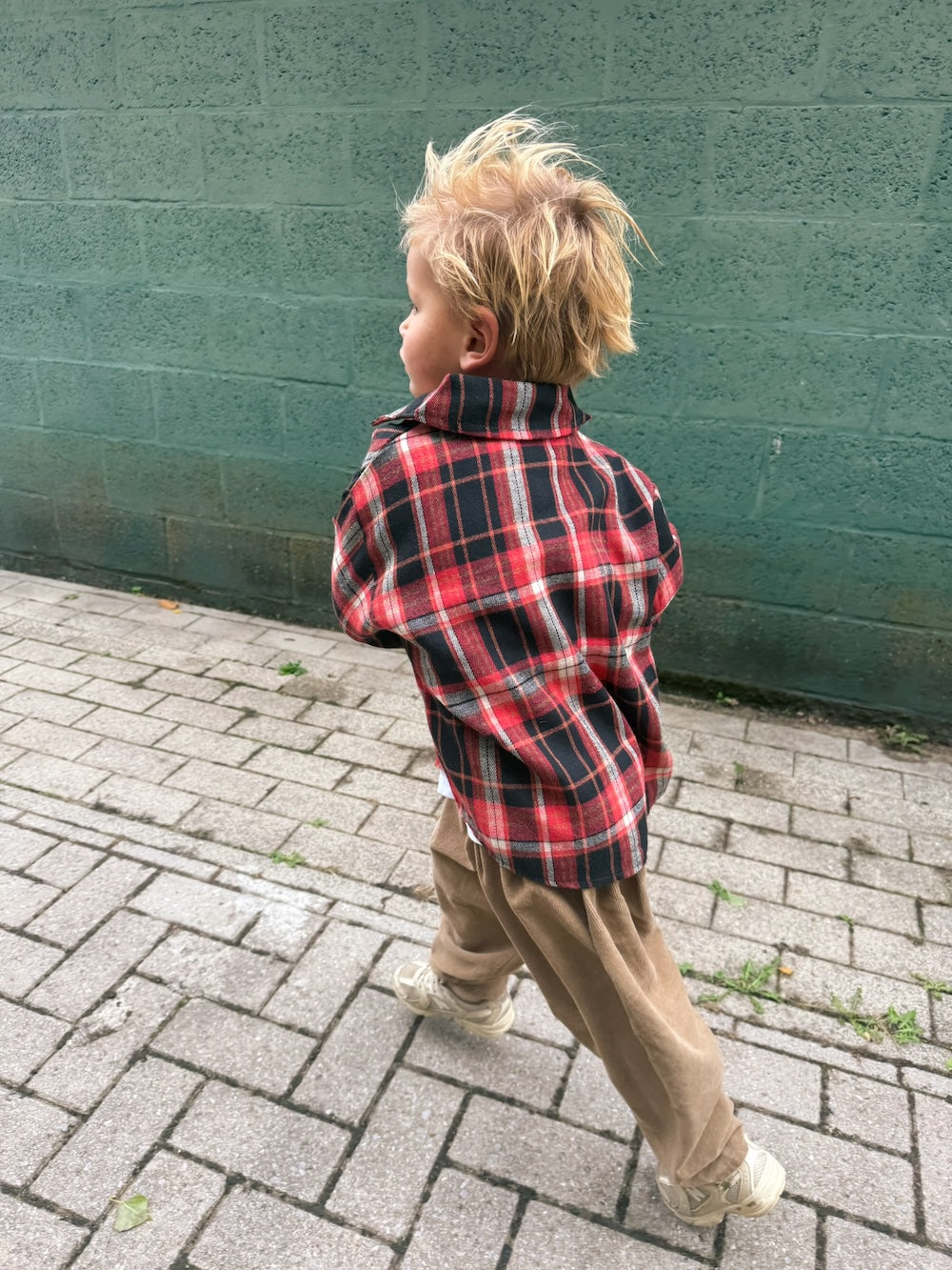 Red Check Shirt
