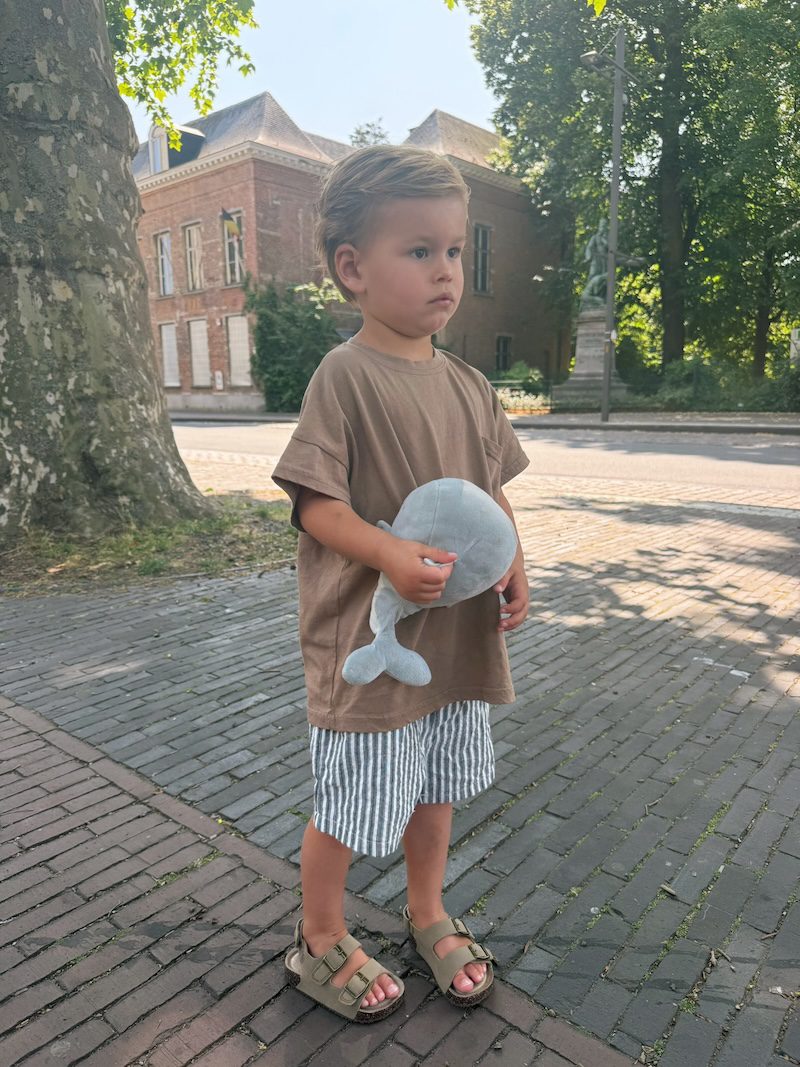 Twill Striped Shorts