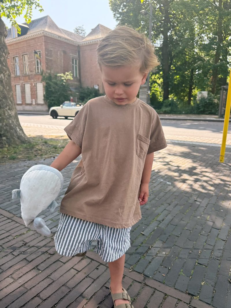 Twill Striped Shorts