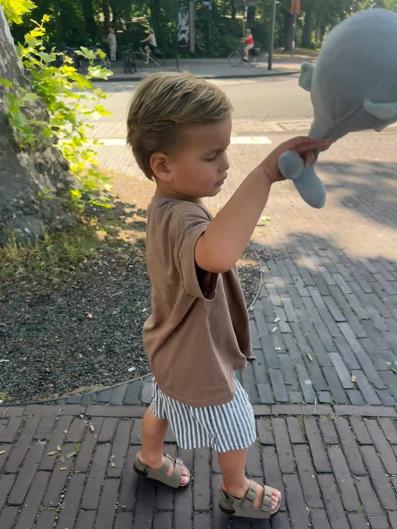 Twill Striped Shorts