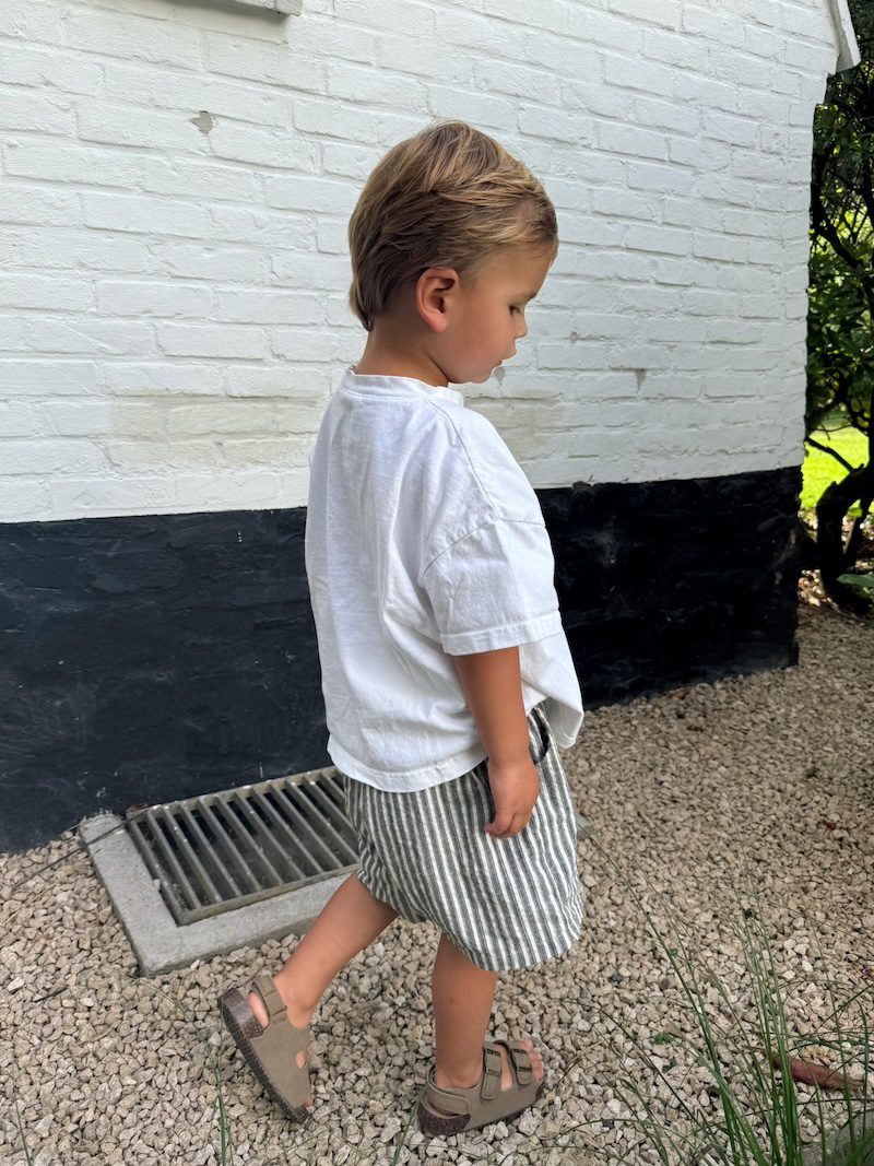 Twill Striped Shorts