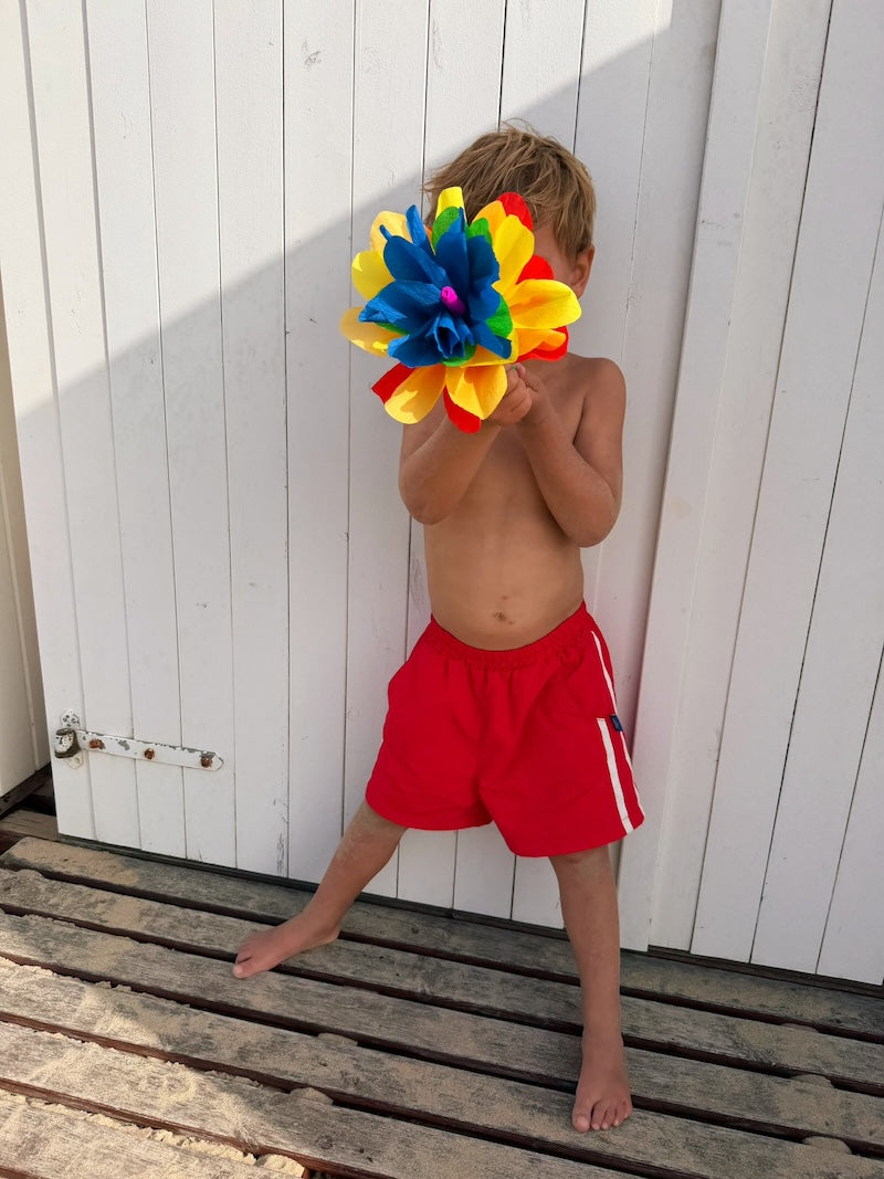 Red Beach Shorts