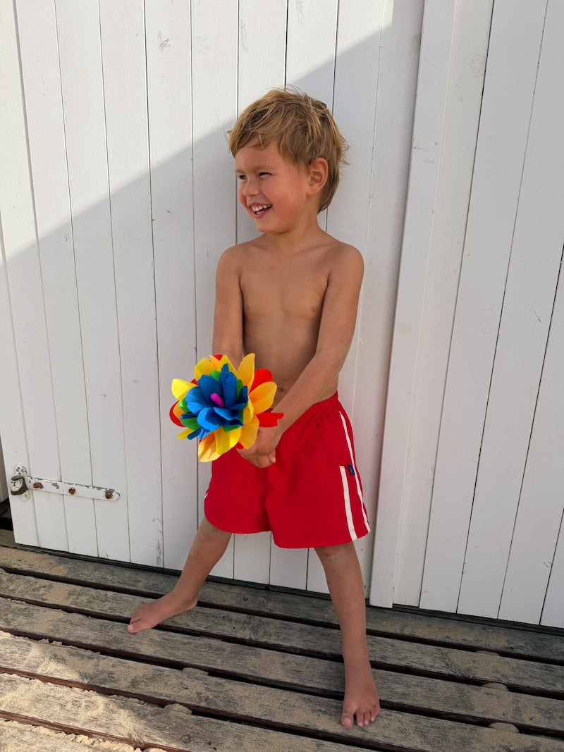 Red Beach Shorts