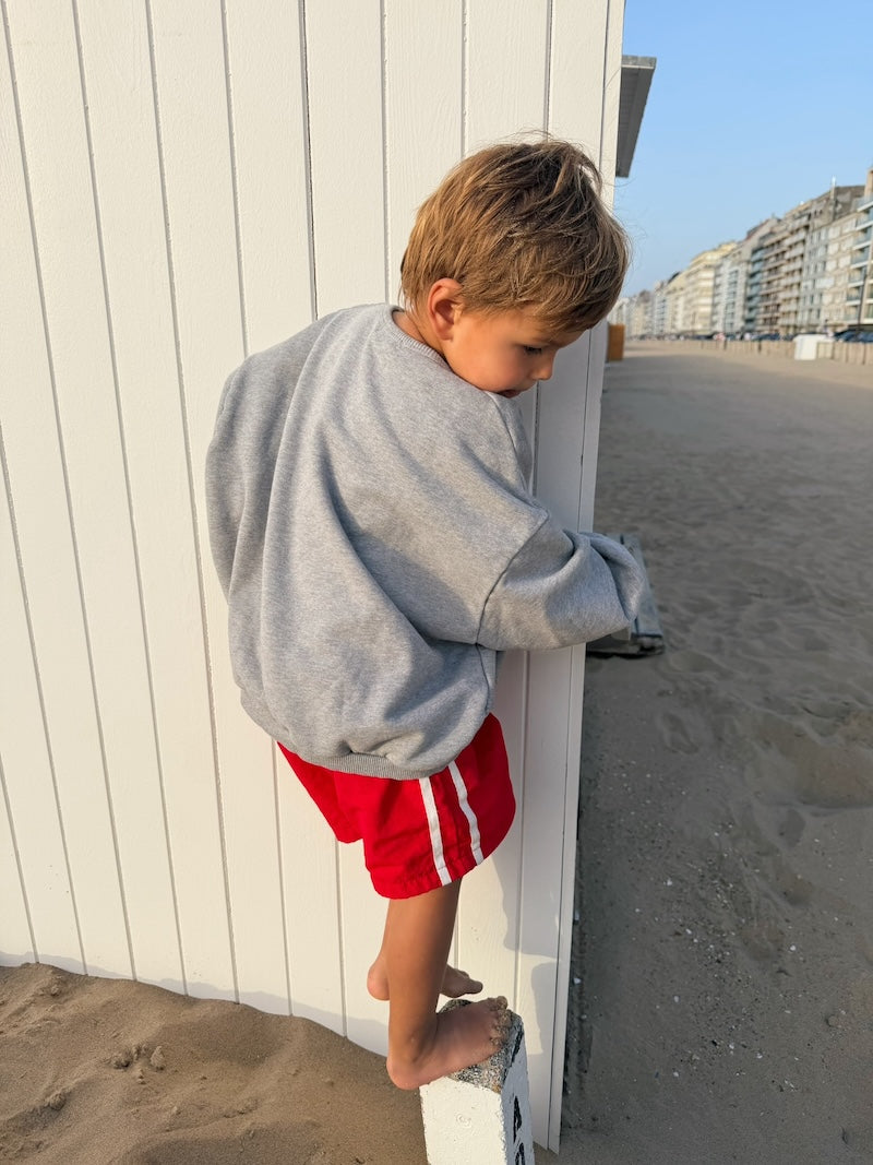 Red Beach Shorts