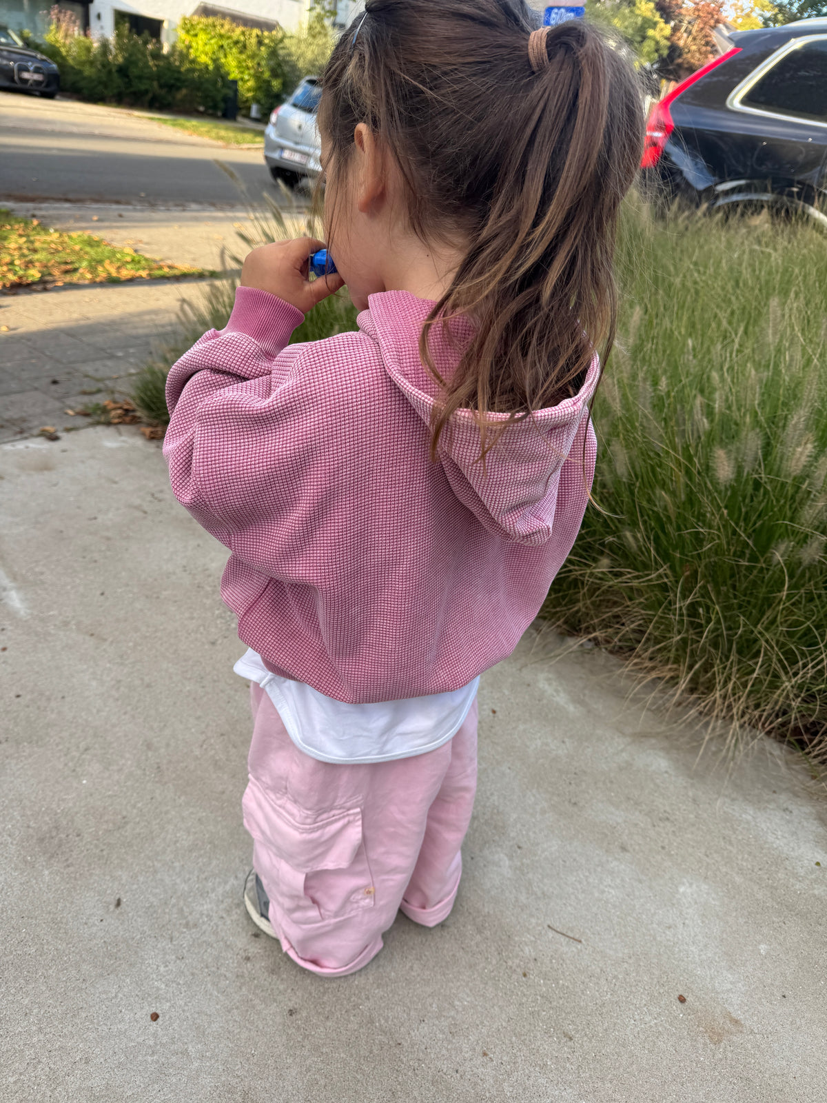 Pinky Waffle Hoodie