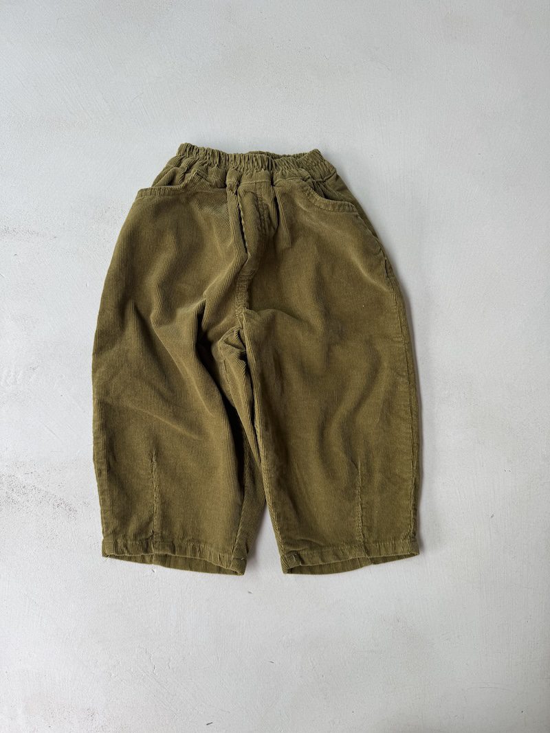 Dart Cord Pants