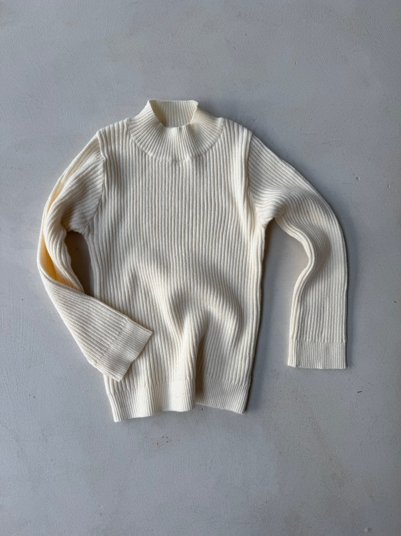 Knitted Turtle Neck Top