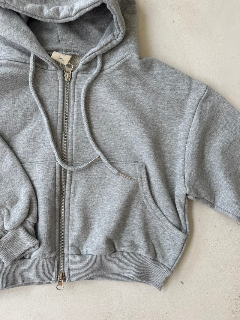 Icon Zip Hoodie Grey