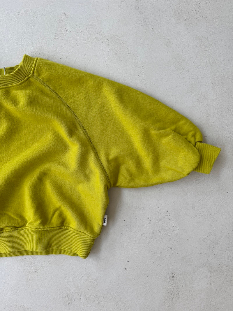Lime Raglan Sweatshirt