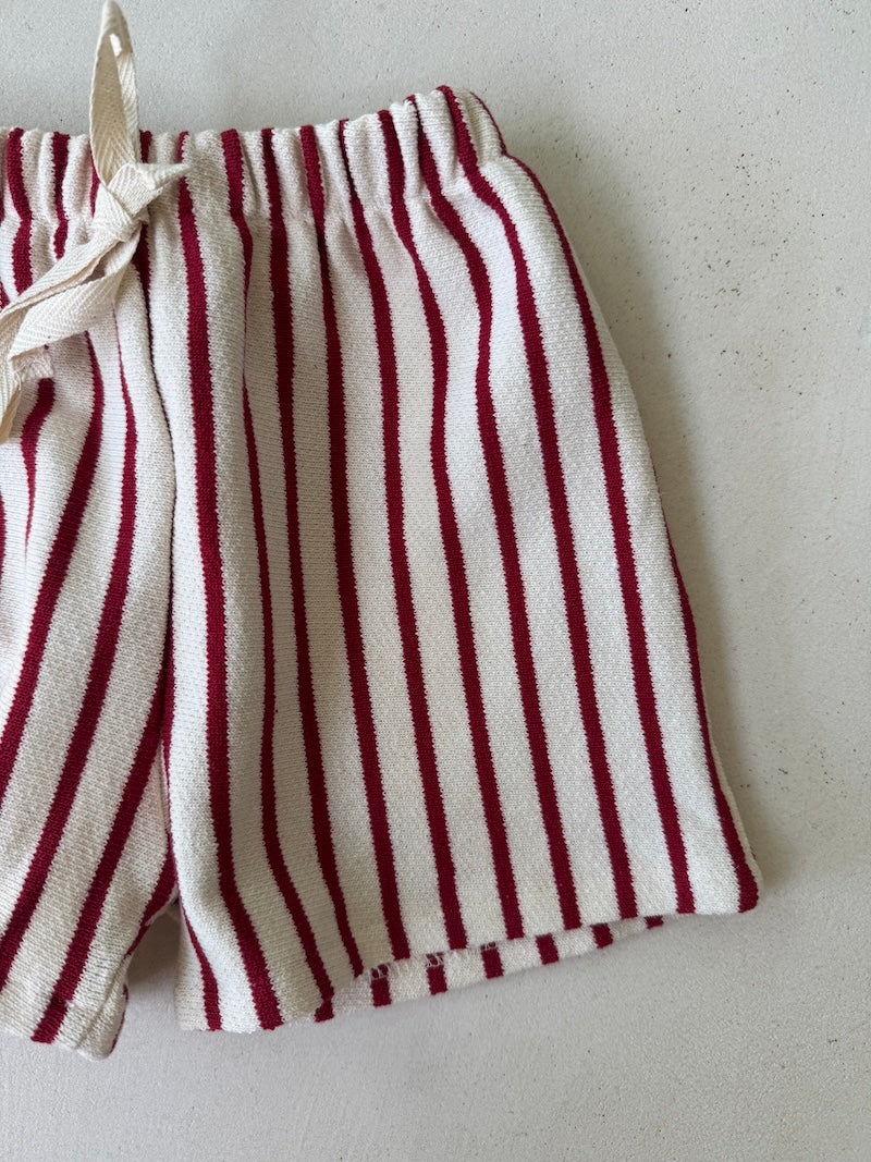 Bebe Striped Cotton Shorts