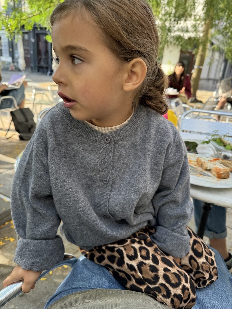 Fine Wool Cardigan