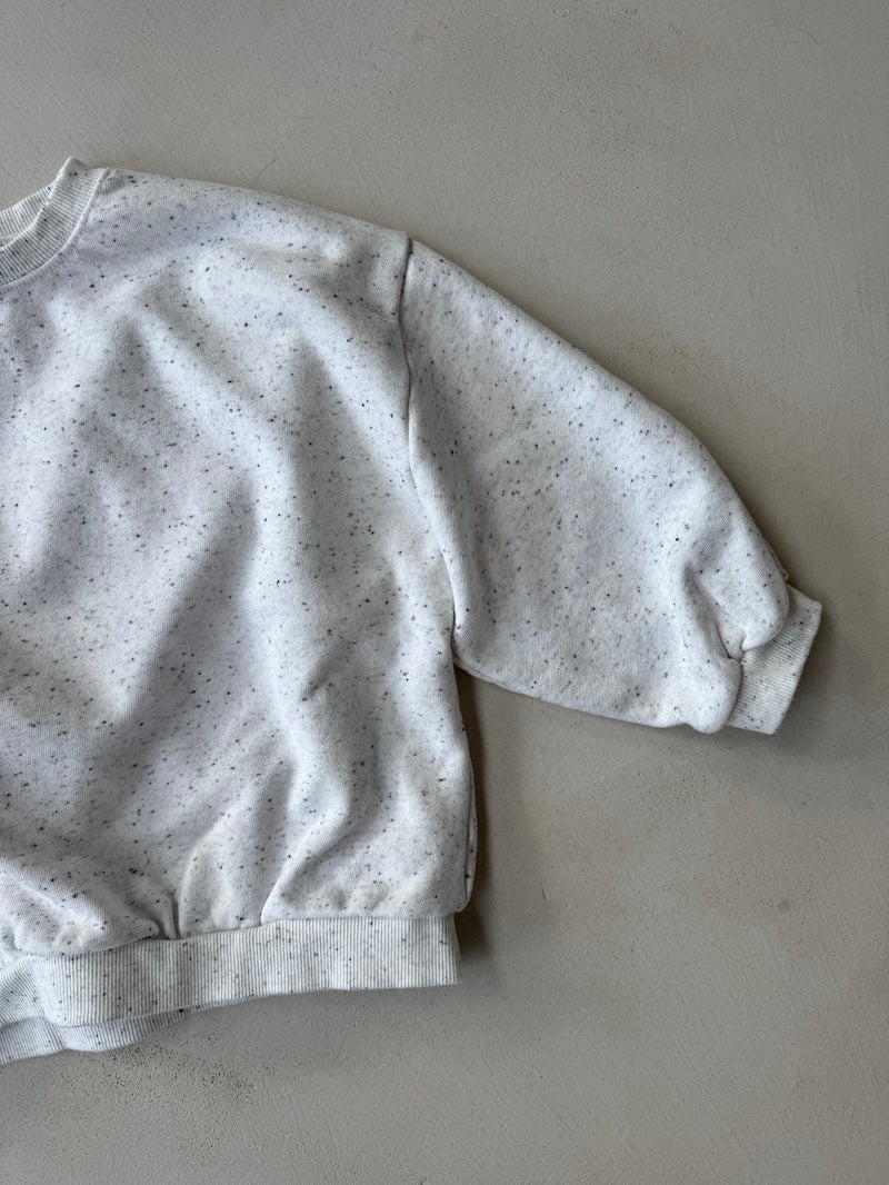 Speckle Sweatshirt