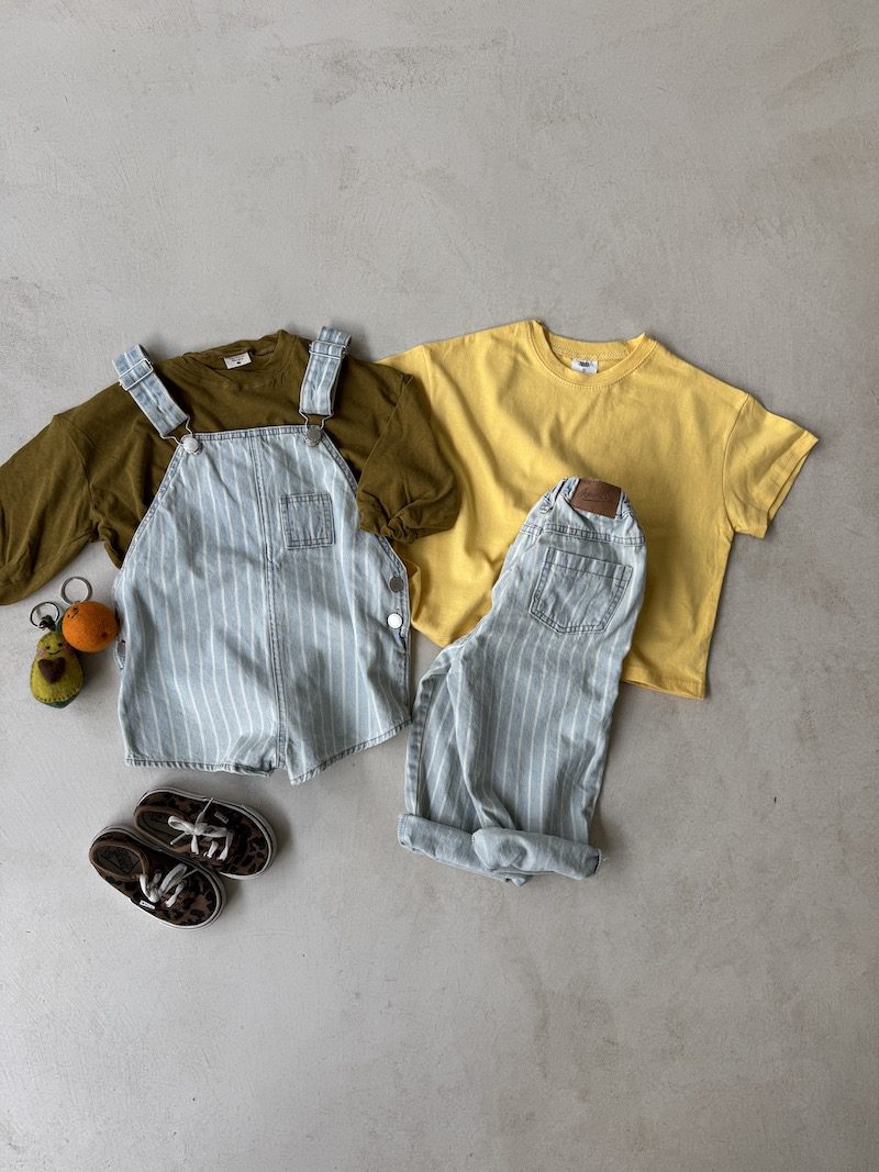 Light Denim Stripes Pants